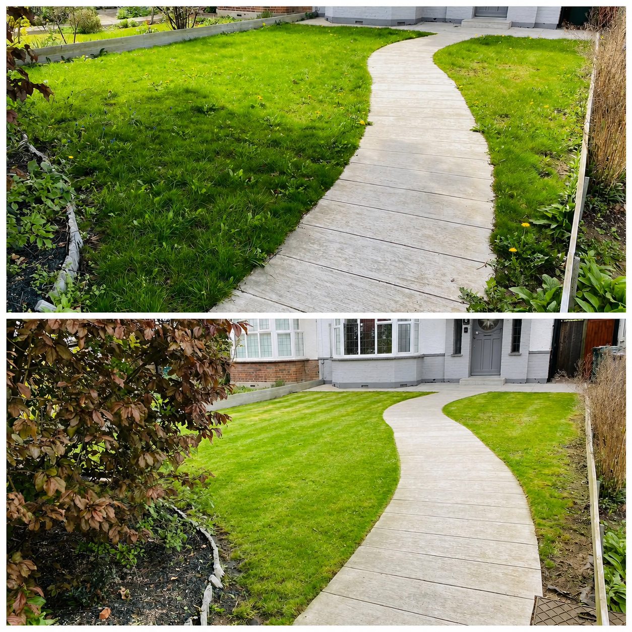 Before and after front lawn cut around a curved path