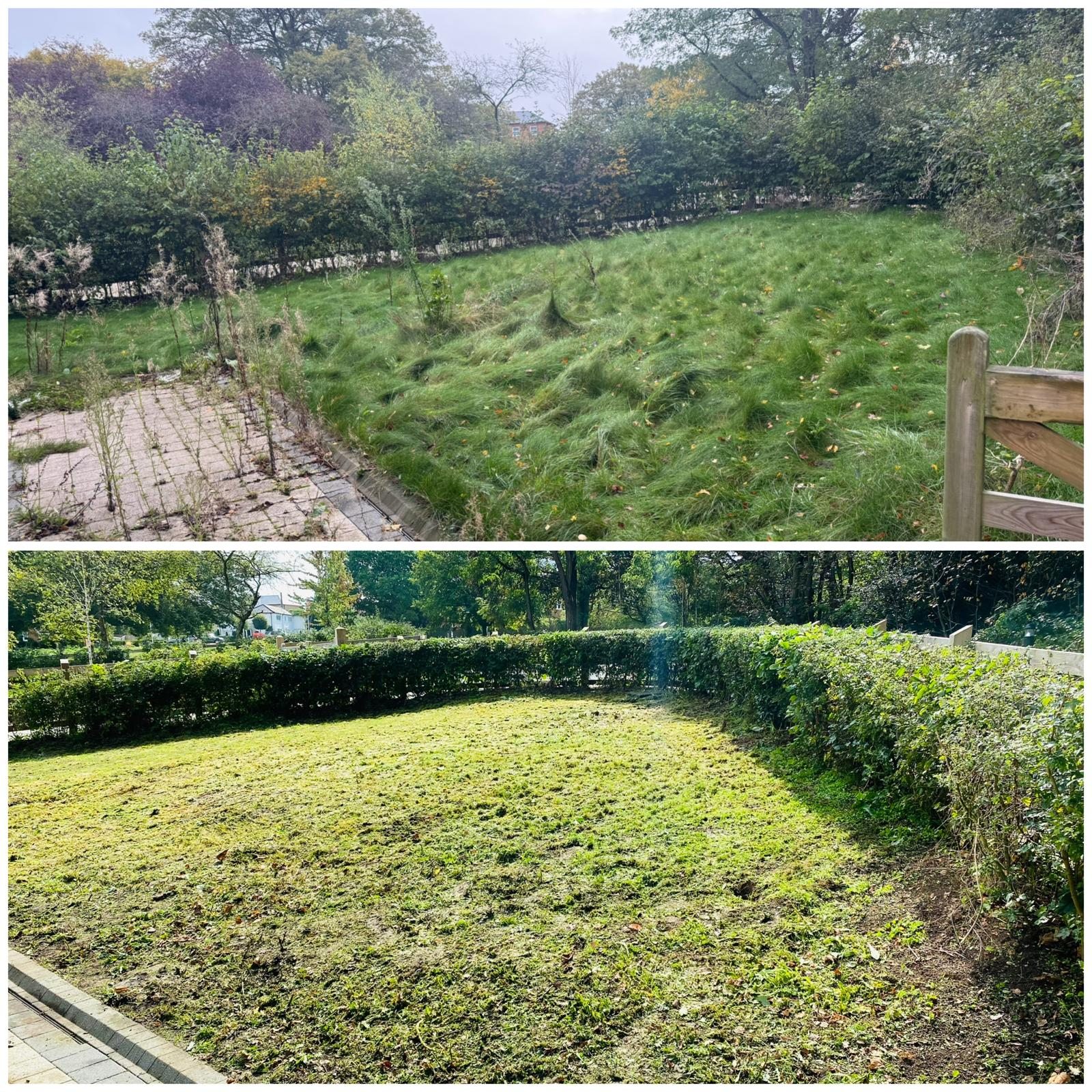 Before and after large lawn clearance with long grass cut back