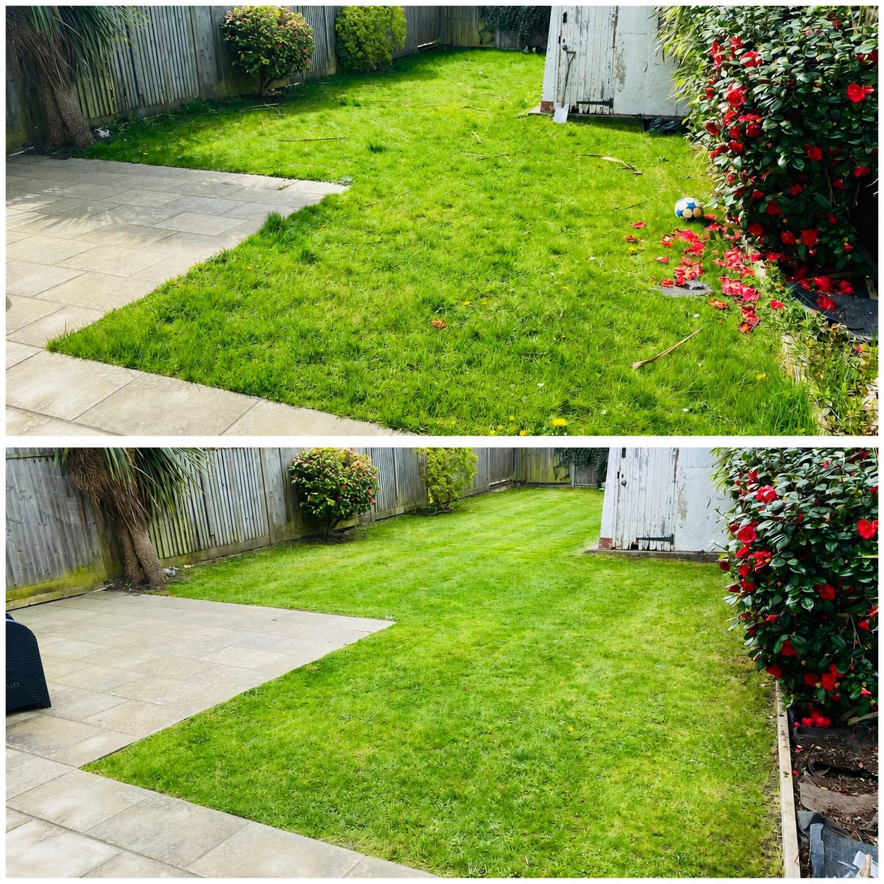 Before and after lawn maintenance with grass cut neatly