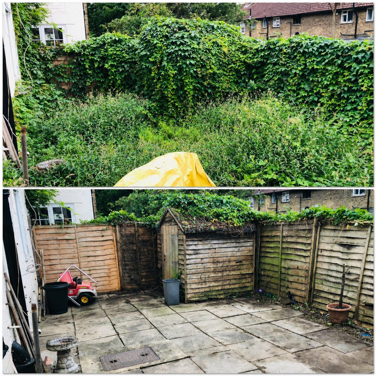 Before and after overgrown yard clearance