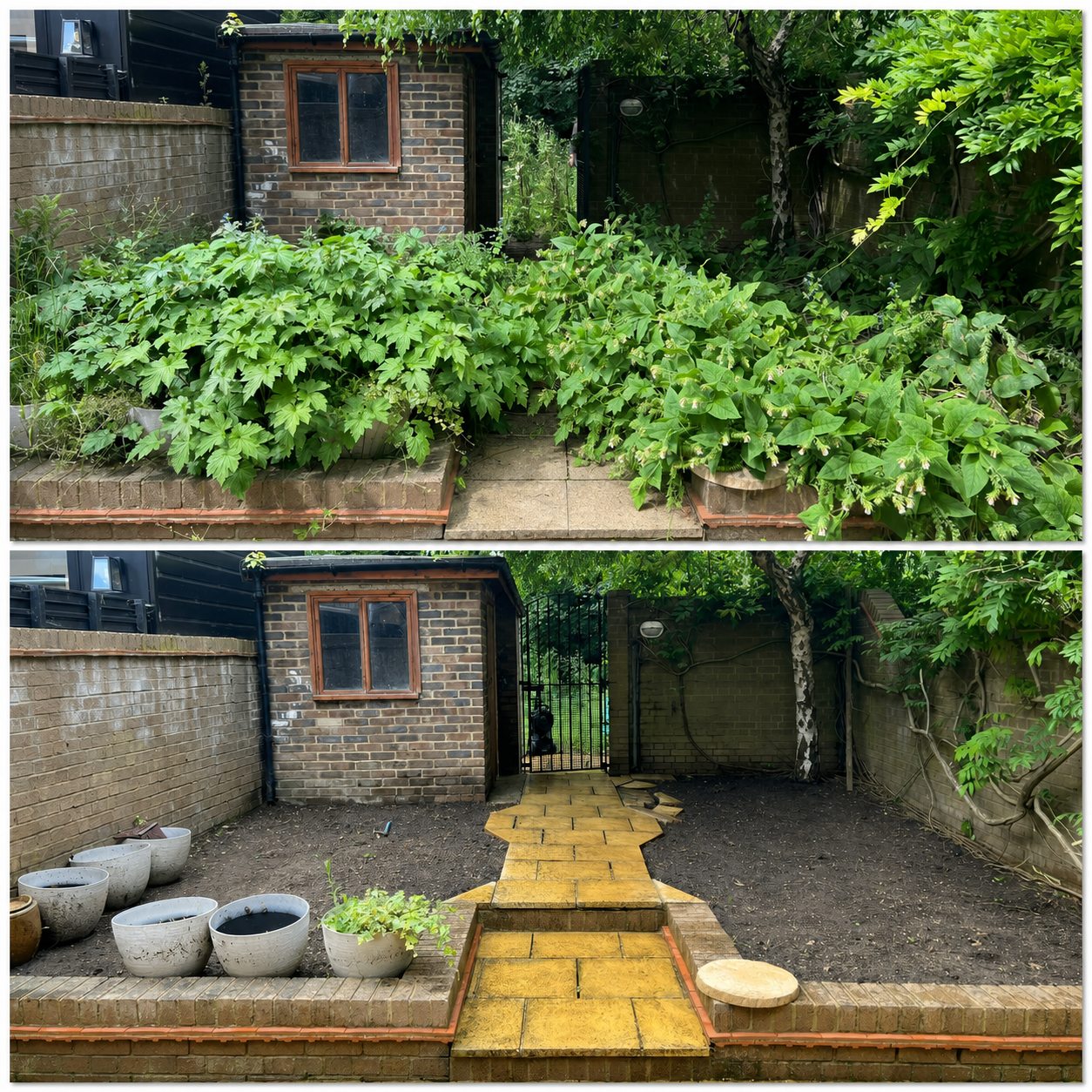 Before and after side path garden clearance