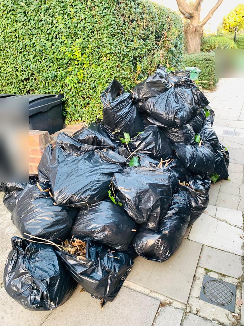 Pile of green waste sacks ready for collection