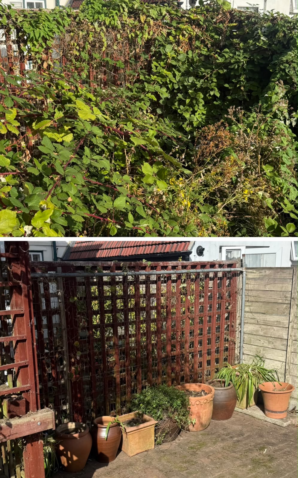 Before and after an overgrown garden clearance completed by TurnBright