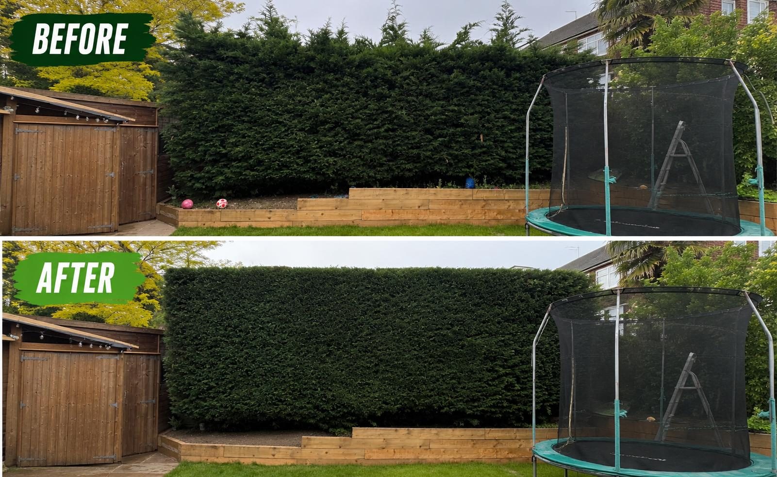 Before and after hedge trimming
